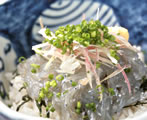 生しらす丼の写真