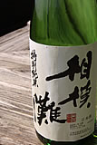 相模灘写真